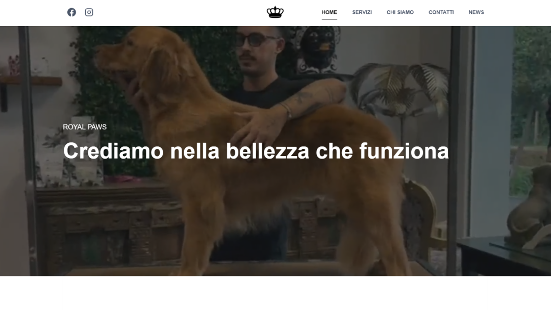 Anteprima progetto Royal Paws